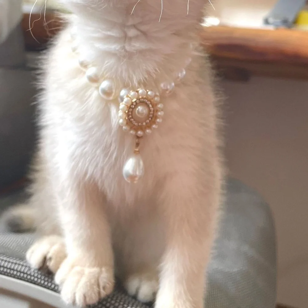 Cute Pet Dog Cat Pearl Collar Fancy Crystal Jewellery Dogs Necklace Size M